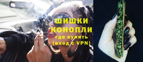 индика Баксан