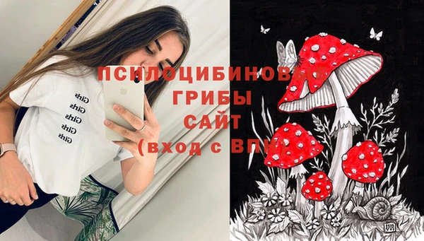 индика Баксан