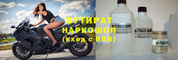 индика Баксан