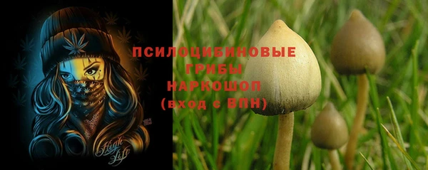 индика Баксан