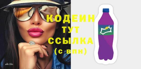 индика Баксан